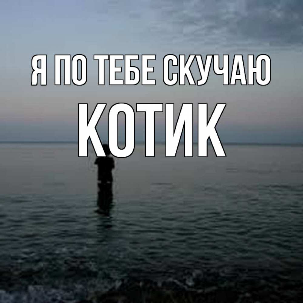 Открытка на каждый день с именем, Котик Я по тебе скучаю скука Прикольная открытка с пожеланием онлайн скачать бесплатно 