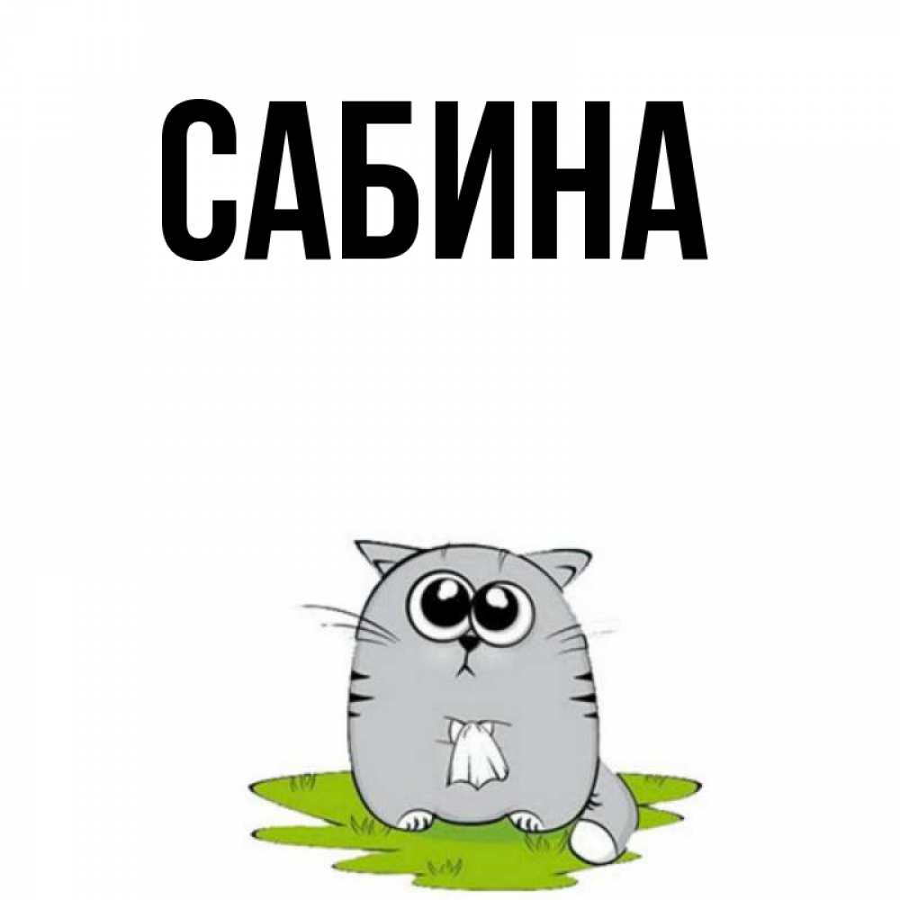 Открытка на каждый день с именем, Сабина Главная котик теребит платочек сидя на травке Прикольная открытка с пожеланием онлайн скачать бесплатно 