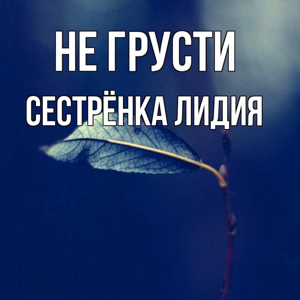 Открытка на каждый день с именем, Сестрёнка-Лидия Не грусти растение Прикольная открытка с пожеланием онлайн скачать бесплатно 