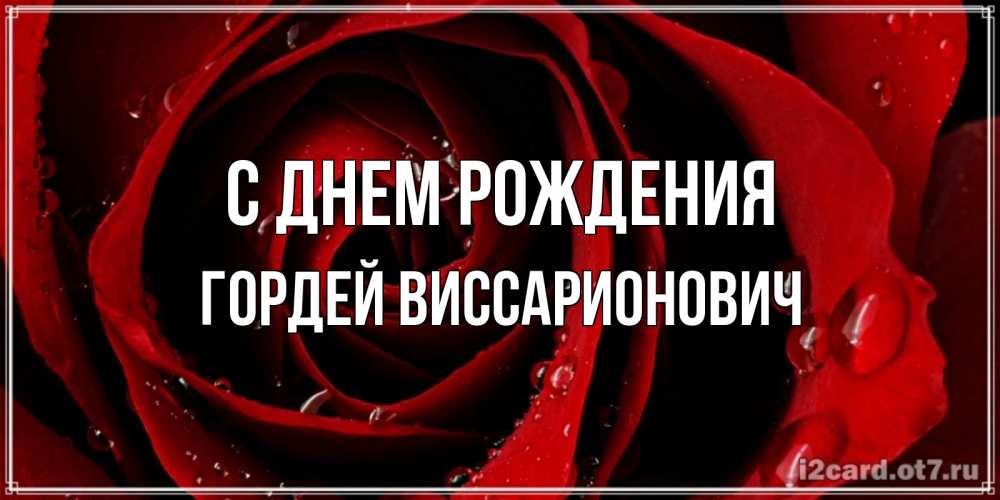 Открытка на каждый день с именем, Гордей-Виссарионович С днем рождения крупная бордовая роза Прикольная открытка с пожеланием онлайн скачать бесплатно 