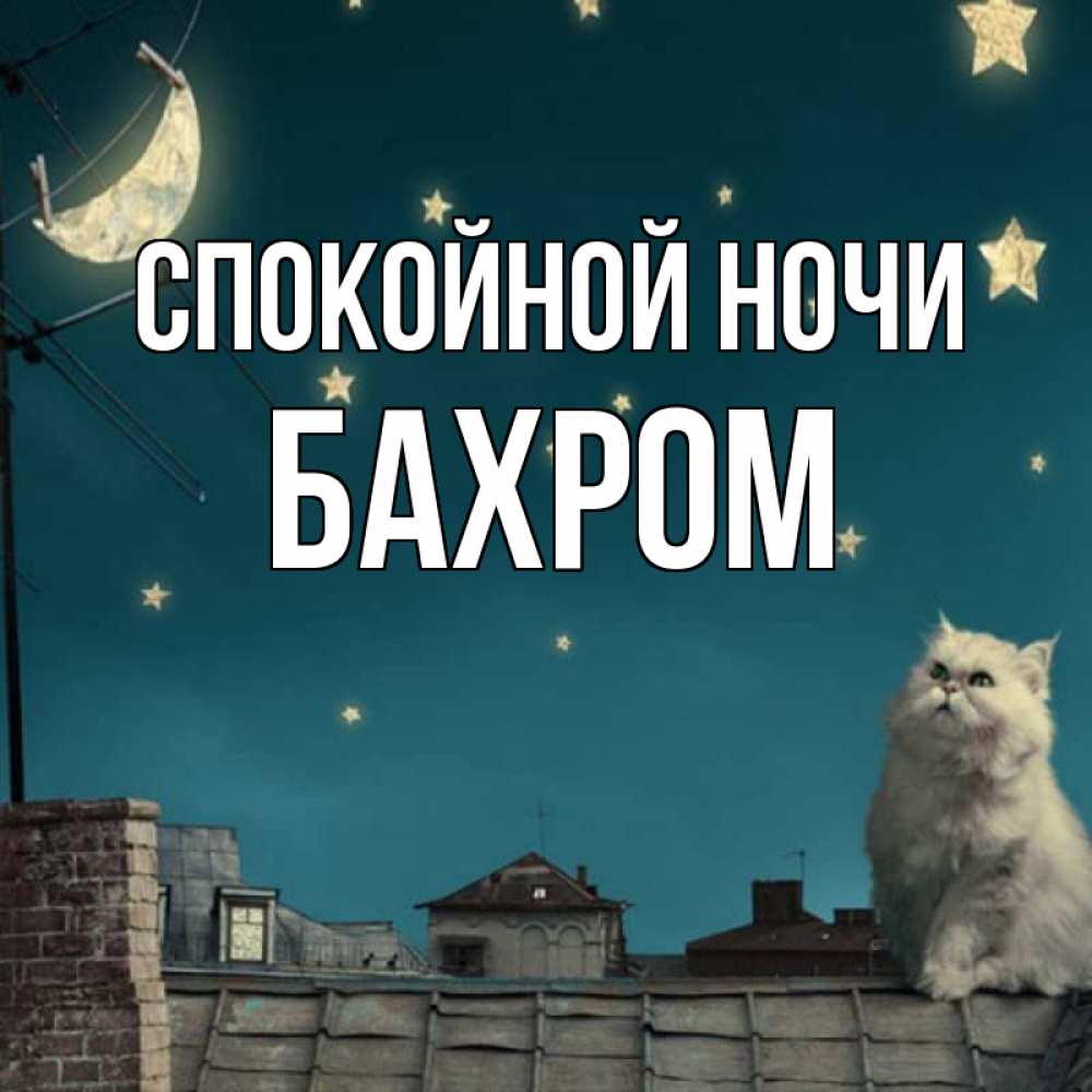 Открытка на каждый день с именем, БАХРОМ Спокойной ночи белый кот сидит на крыше Прикольная открытка с пожеланием онлайн скачать бесплатно 