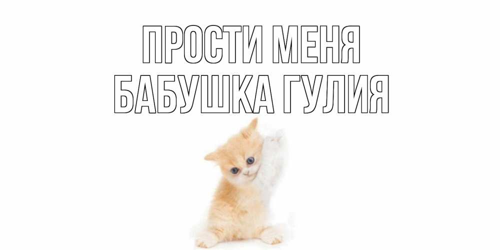 Открытка на каждый день с именем, Бабушка-Гулия Прости меня кот Прикольная открытка с пожеланием онлайн скачать бесплатно 