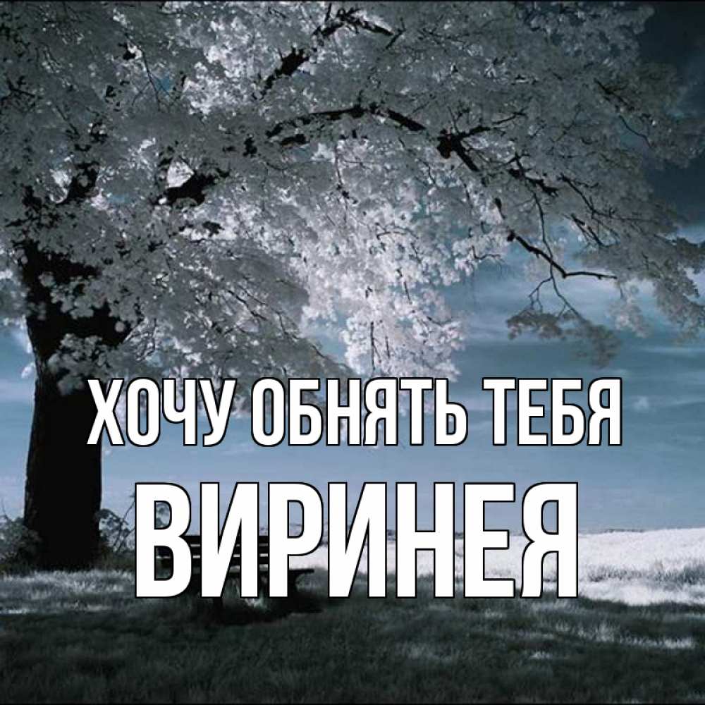 Открытка на каждый день с именем, Виринея Хочу обнять тебя дерево Прикольная открытка с пожеланием онлайн скачать бесплатно 