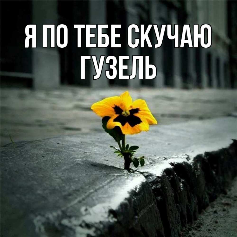 Открытка на каждый день с именем, Гузель Я по тебе скучаю надеюсь будет лучше Прикольная открытка с пожеланием онлайн скачать бесплатно 