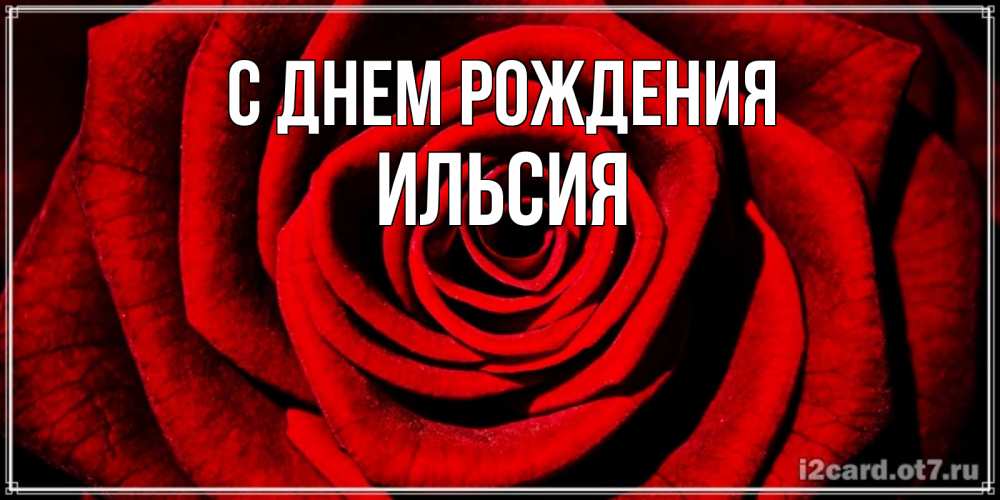Открытка на каждый день с именем, ИЛЬСИЯ С днем рождения алая роза Прикольная открытка с пожеланием онлайн скачать бесплатно 