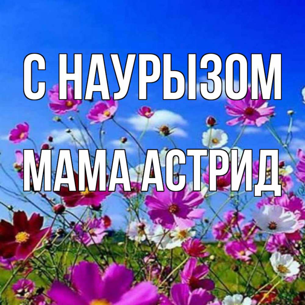 Открытка на каждый день с именем, Мама-Астрид С наурызом цветы Прикольная открытка с пожеланием онлайн скачать бесплатно 
