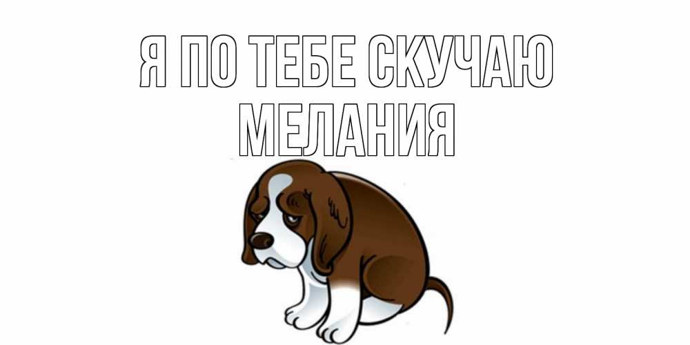 Открытка на каждый день с именем, Мелания Я по тебе скучаю я по тебе скучаю с щенком Прикольная открытка с пожеланием онлайн скачать бесплатно 