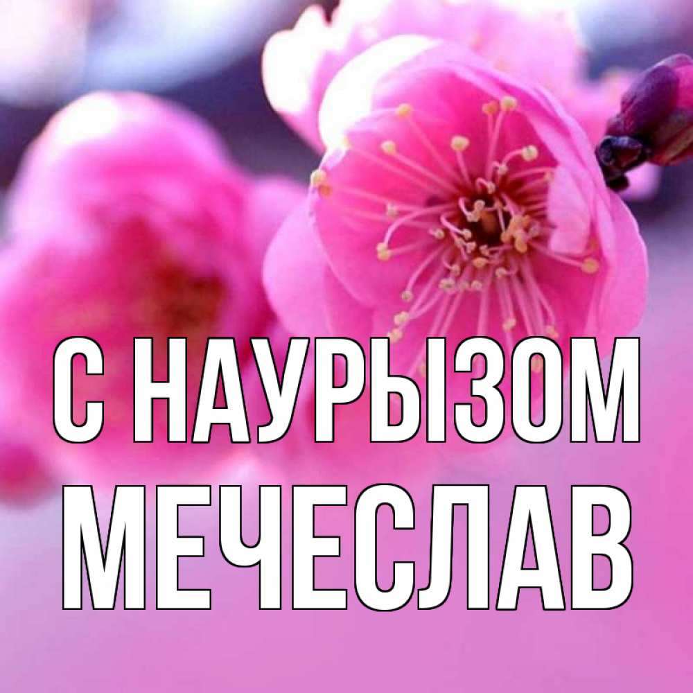 Открытка на каждый день с именем, Мечеслав С наурызом международный женский день Прикольная открытка с пожеланием онлайн скачать бесплатно 