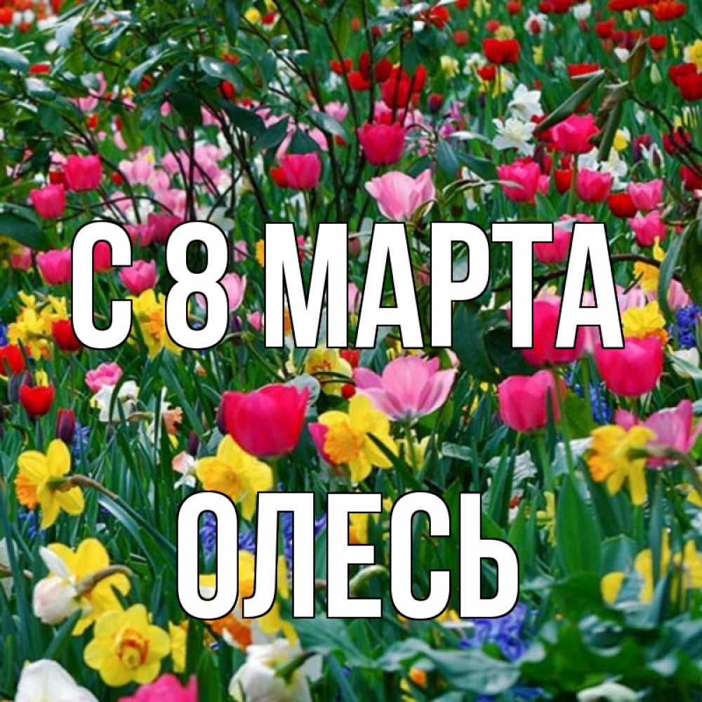 Открытка на каждый день с именем, Олесь С 8 МАРТА с международным женским днем поздравления для женщины Прикольная открытка с пожеланием онлайн скачать бесплатно 