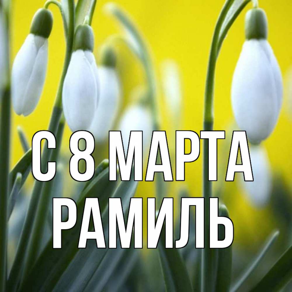 Открытка на каждый день с именем, Рамиль С 8 МАРТА весенние цветы Прикольная открытка с пожеланием онлайн скачать бесплатно 