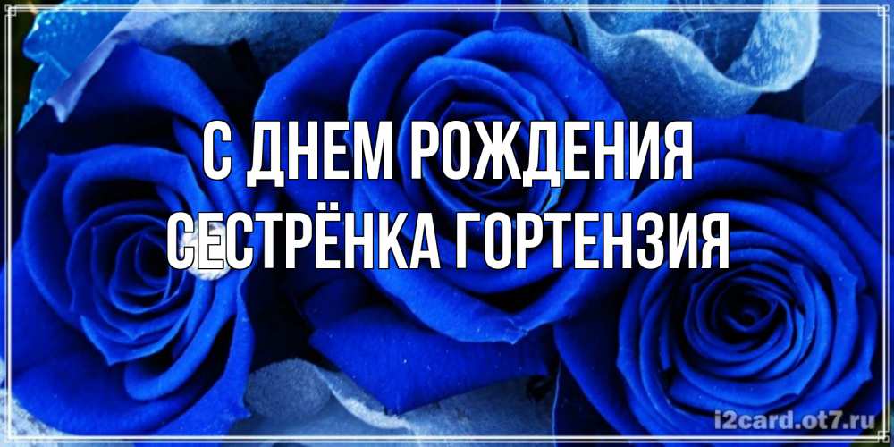 Открытка на каждый день с именем, Сестрёнка-Гортензия С днем рождения синие розы в росе Прикольная открытка с пожеланием онлайн скачать бесплатно 