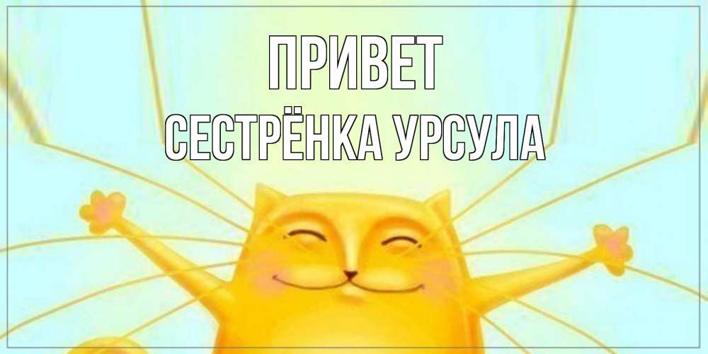 Открытка на каждый день с именем, Сестрёнка-Урсула Привет кот Прикольная открытка с пожеланием онлайн скачать бесплатно 