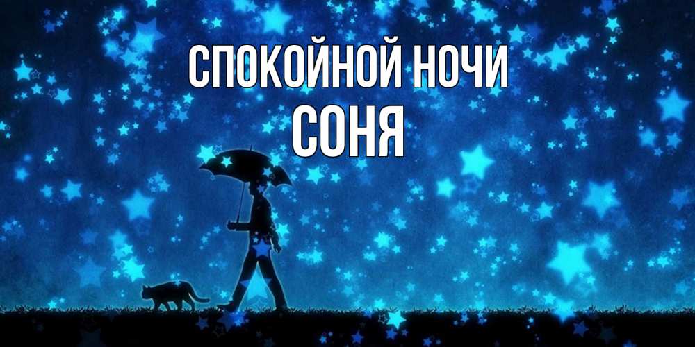 Открытка на каждый день с именем, Соня Спокойной ночи ночные прогулки с котом под звездами Прикольная открытка с пожеланием онлайн скачать бесплатно 