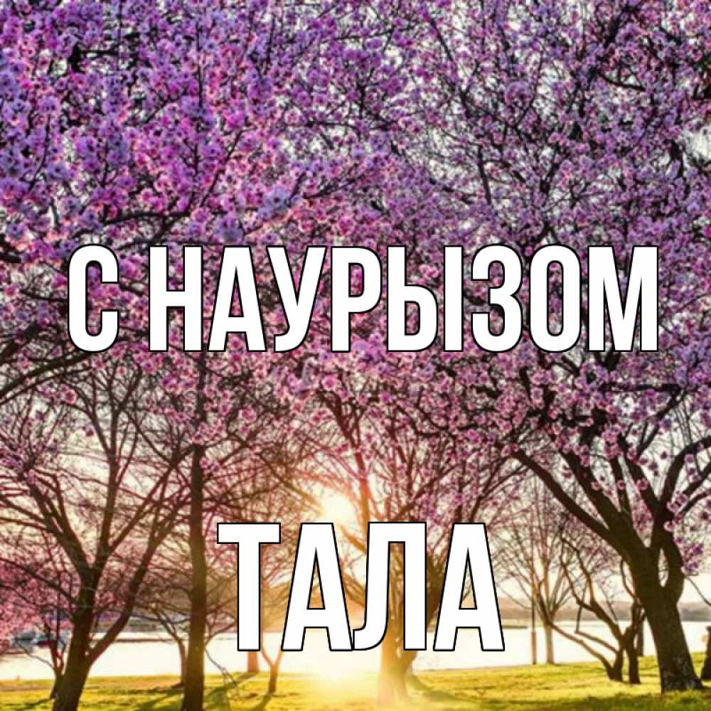 Открытка на каждый день с именем, Тала С наурызом праздник весны наурыз Прикольная открытка с пожеланием онлайн скачать бесплатно 