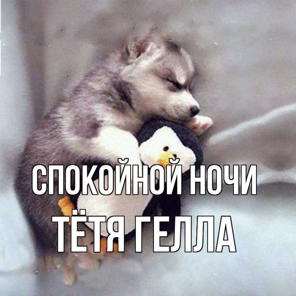Открытка на каждый день с именем, Тётя-Гелла Спокойной ночи обнимашки щенка и пингвина Прикольная открытка с пожеланием онлайн скачать бесплатно 