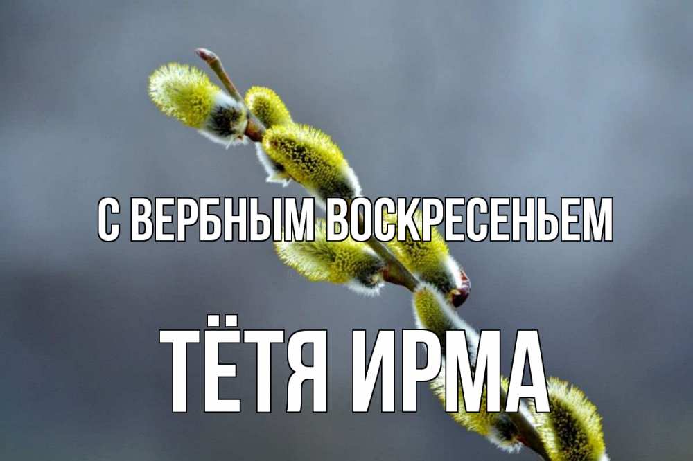 Открытка на каждый день с именем, Тётя-Ирма С вербным воскресеньем верба Прикольная открытка с пожеланием онлайн скачать бесплатно 