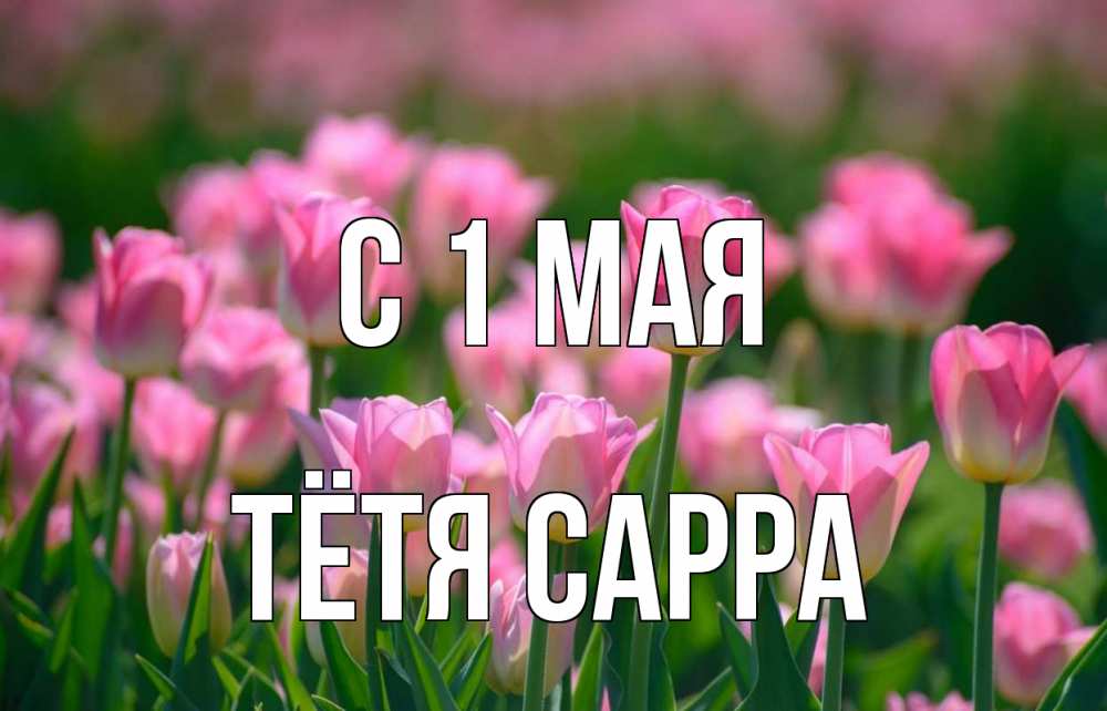 Открытка на каждый день с именем, Тётя-Сарра С 1 мая С 1 мая Прикольная открытка с пожеланием онлайн скачать бесплатно 