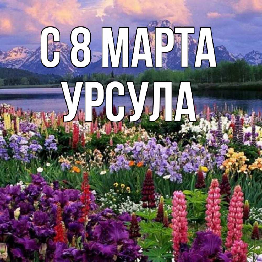 Открытка на каждый день с именем, Урсула С 8 МАРТА международный женский день Прикольная открытка с пожеланием онлайн скачать бесплатно 