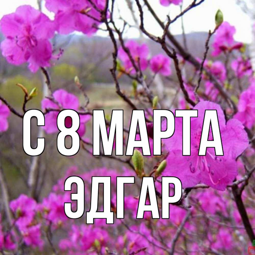 Открытка на каждый день с именем, Эдгар С 8 МАРТА международный женский день Прикольная открытка с пожеланием онлайн скачать бесплатно 
