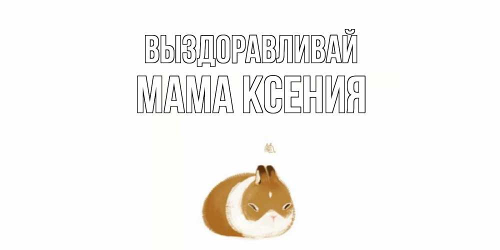 Открытка на каждый день с именем, Мама-Ксения Выздоравливай морская свинка на открытке с пожеланиями не болеть Прикольная открытка с пожеланием онлайн скачать бесплатно 