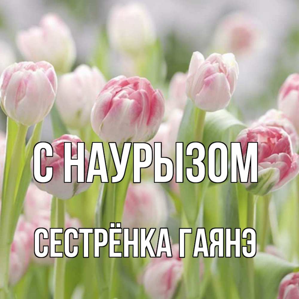Открытка на каждый день с именем, Сестрёнка-Гаянэ С наурызом цветы Прикольная открытка с пожеланием онлайн скачать бесплатно 
