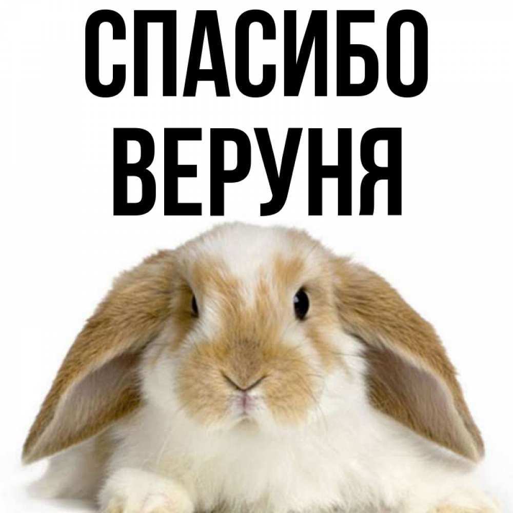 Картинка спасибо с зайцем