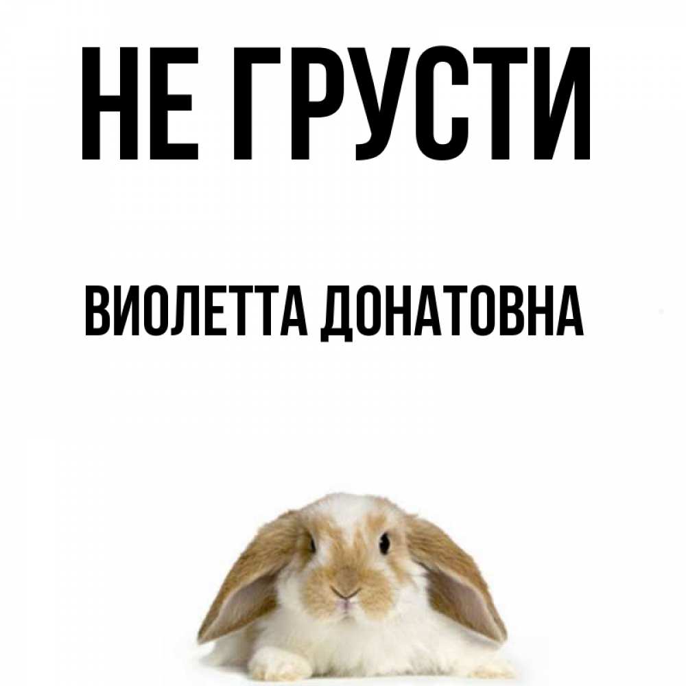 Веселые картинки не грусти
