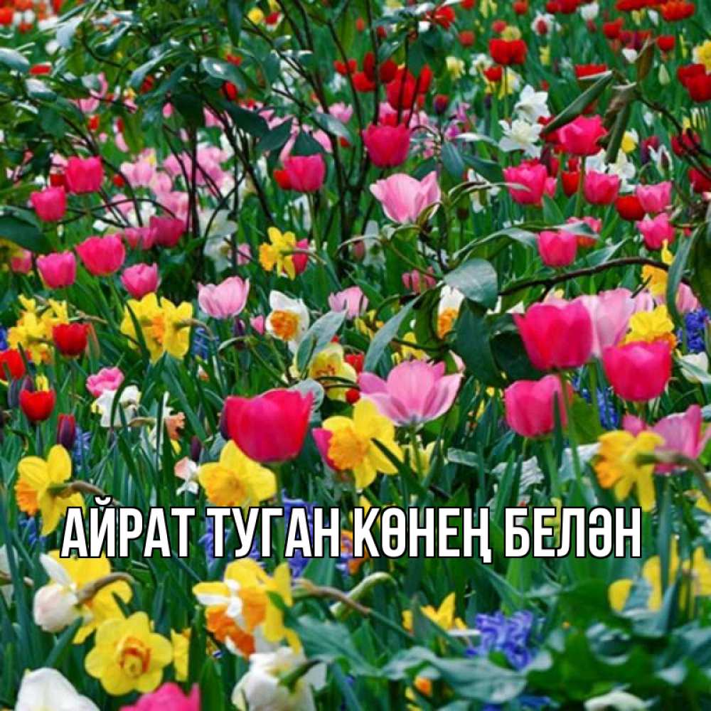 Открытка на каждый день с именем, Айрат-туган-көнең-белән Главная с наурызом праздником весны поздравления для женщины Прикольная открытка с пожеланием онлайн скачать бесплатно 