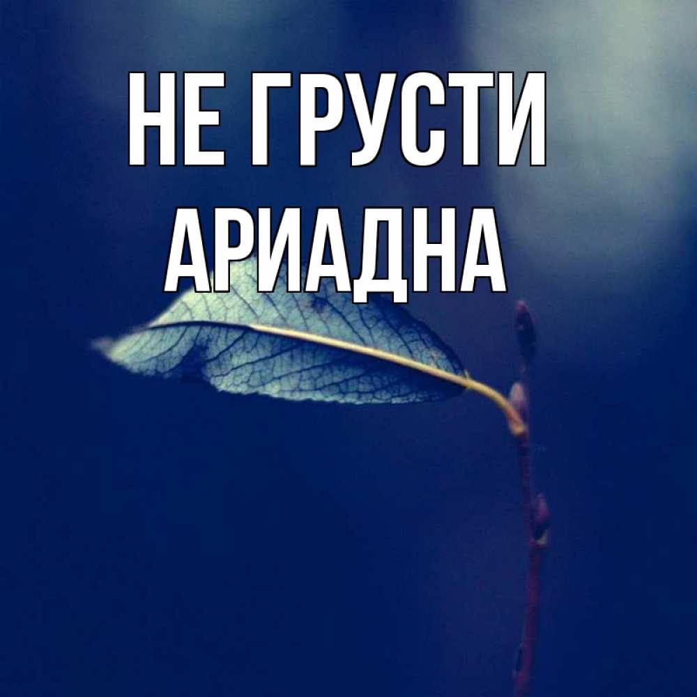 Открытка на каждый день с именем, Ариадна Не грусти растение Прикольная открытка с пожеланием онлайн скачать бесплатно 