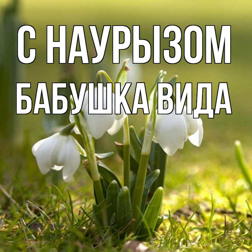 Открытка на каждый день с именем, Бабушка-Вида С наурызом ранние цветы 2 Прикольная открытка с пожеланием онлайн скачать бесплатно 