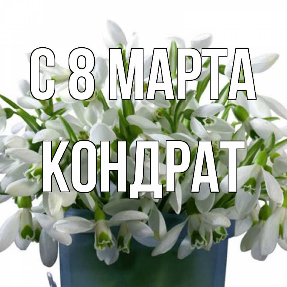 Открытка на каждый день с именем, Кондрат С 8 МАРТА цветы к международному женскому дню Прикольная открытка с пожеланием онлайн скачать бесплатно 