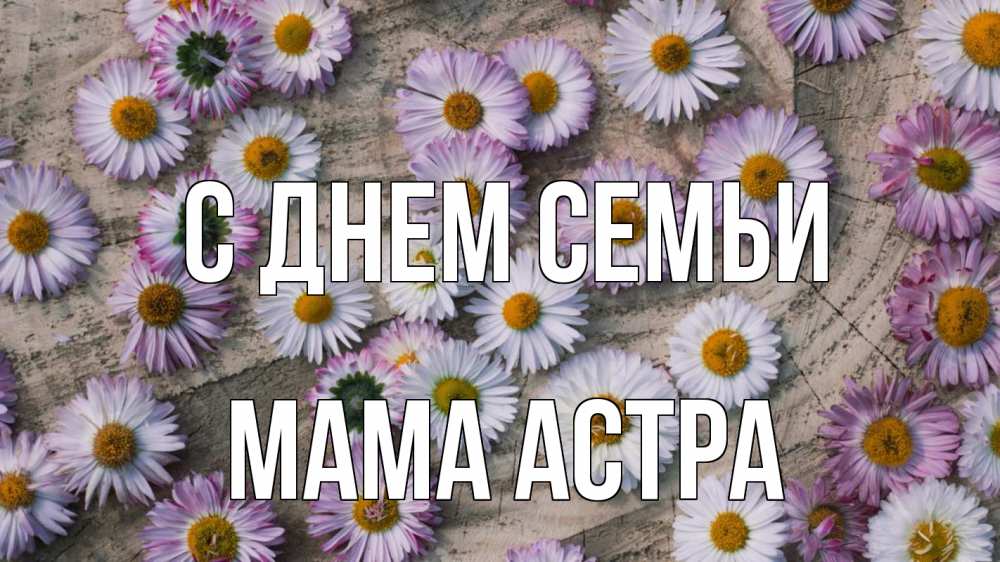 Открытка на каждый день с именем, Мама-Астра С днем семьи с днем семьи Прикольная открытка с пожеланием онлайн скачать бесплатно 