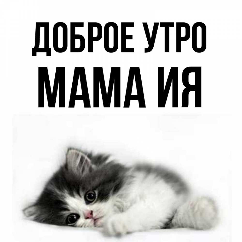 Открытка на каждый день с именем, Мама-Ия Доброе утро кот лапки Прикольная открытка с пожеланием онлайн скачать бесплатно 