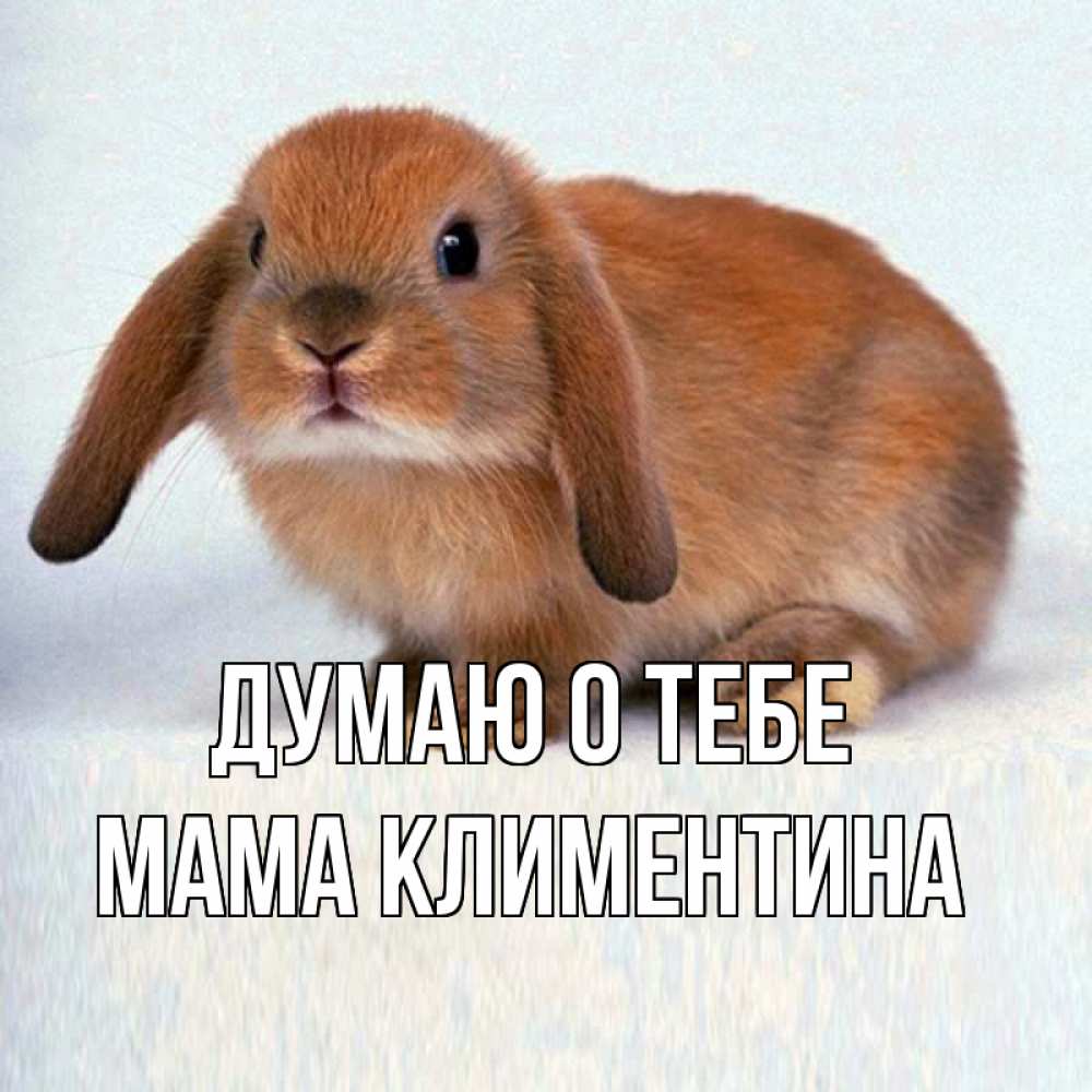 Открытка на каждый день с именем, Мама-Климентина Думаю о тебе кроль коричневый Прикольная открытка с пожеланием онлайн скачать бесплатно 