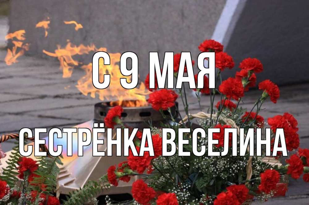 Открытка на каждый день с именем, Сестрёнка-Веселина С 9 мая 9 мая Прикольная открытка с пожеланием онлайн скачать бесплатно 