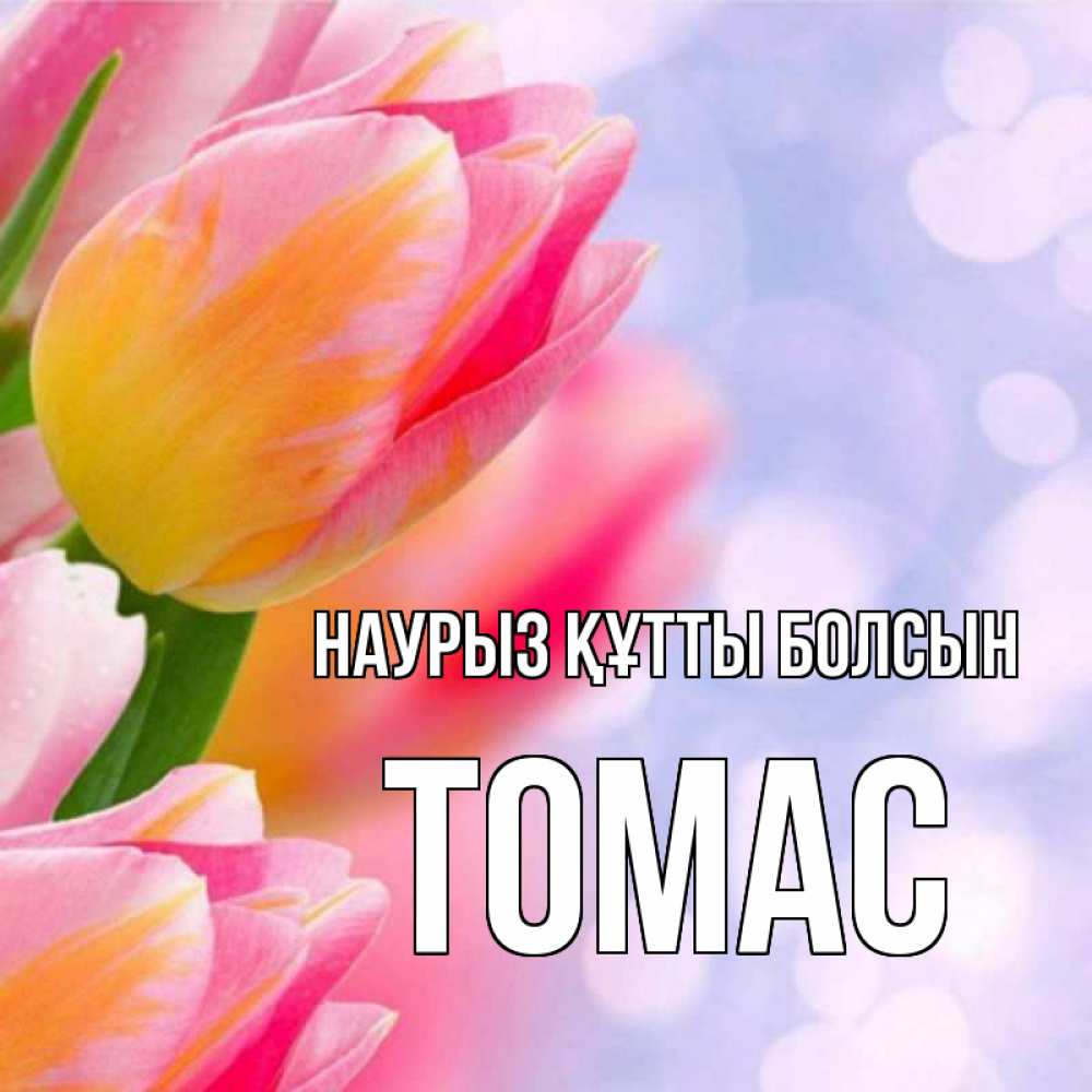 Открытка на каждый день с именем, Томас Наурыз құтты болсын тюльпаны 2 Прикольная открытка с пожеланием онлайн скачать бесплатно 