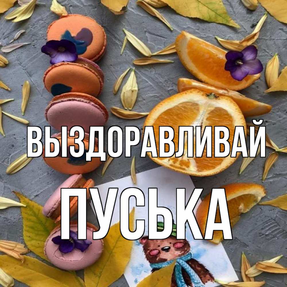 Открытка на каждый день с именем, пуська Выздоравливай не болейте Прикольная открытка с пожеланием онлайн скачать бесплатно 
