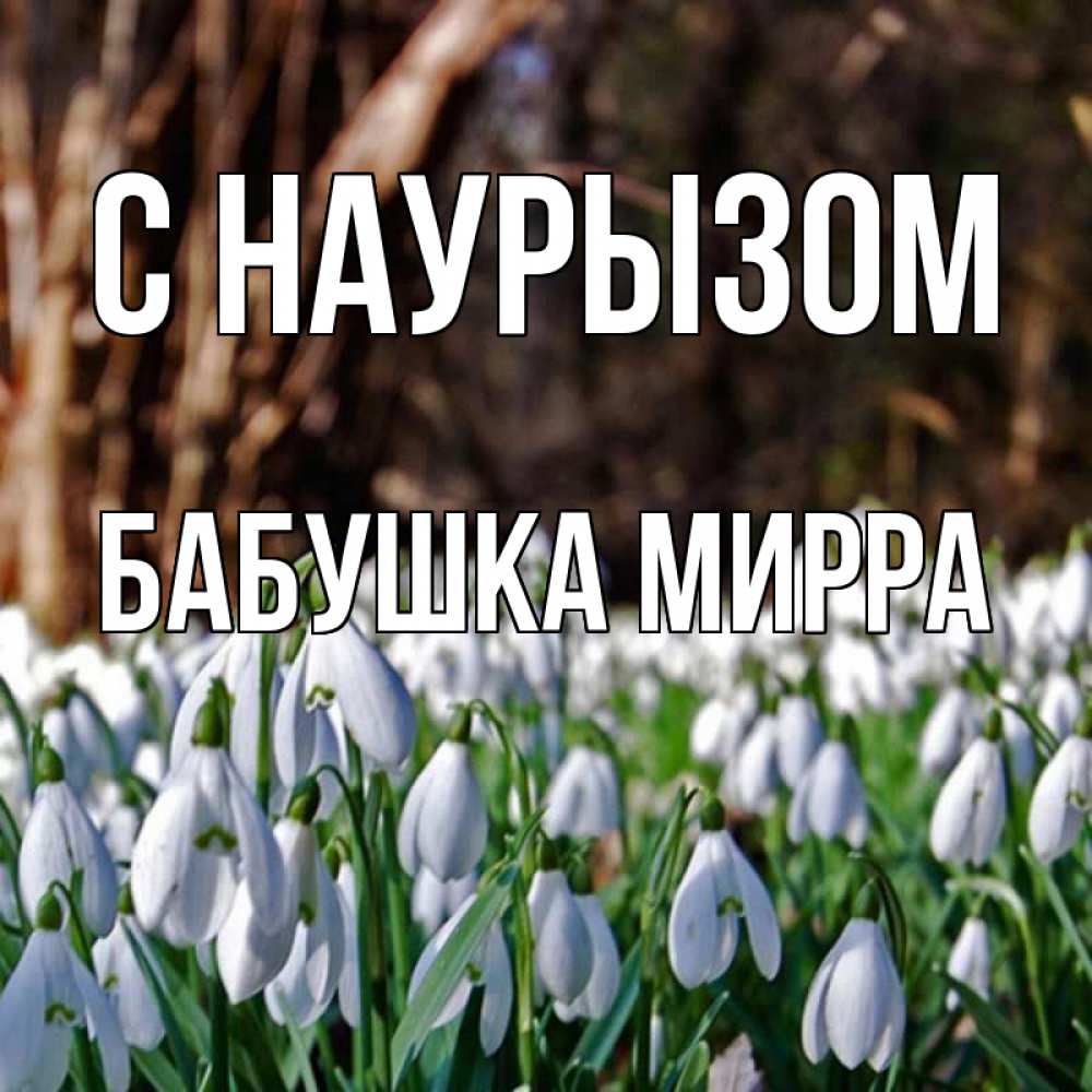 Открытка на каждый день с именем, Бабушка-Мирра С наурызом с подснежниками 1 Прикольная открытка с пожеланием онлайн скачать бесплатно 