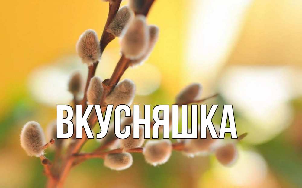 Открытка на каждый день с именем, Вкусняшка Главная верба Прикольная открытка с пожеланием онлайн скачать бесплатно 