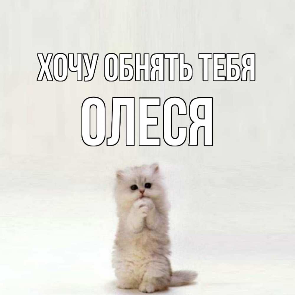 Хочу к вам открытки, дню