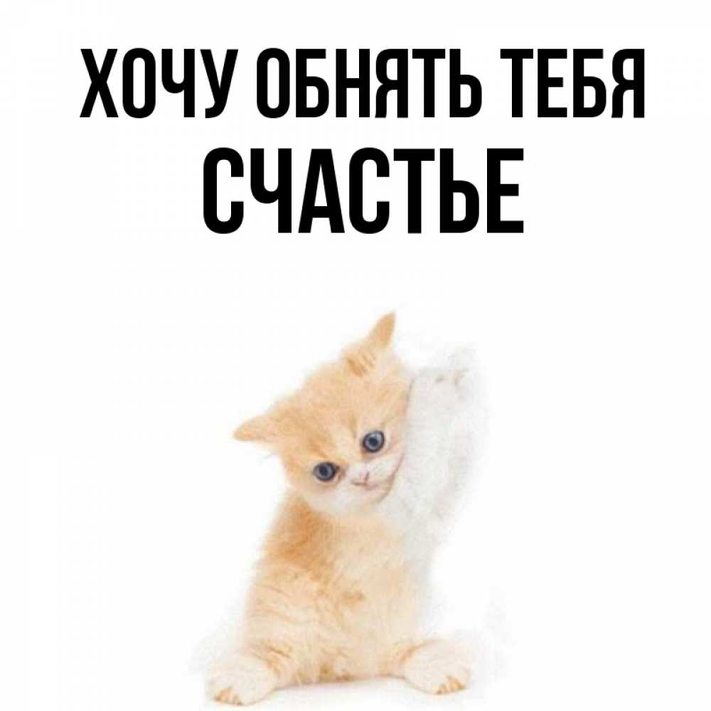 Открытка на каждый день с именем, СЧАСТЬЕ Хочу обнять тебя я хочу очень скорее обнимаешек Прикольная открытка с пожеланием онлайн скачать бесплатно 
