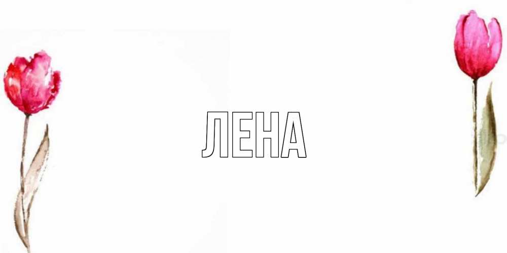 Открытка на каждый день с именем, Лена Главная Открытки на день всех влюбленных с тюльпанами акварелью Прикольная открытка с пожеланием онлайн скачать бесплатно 