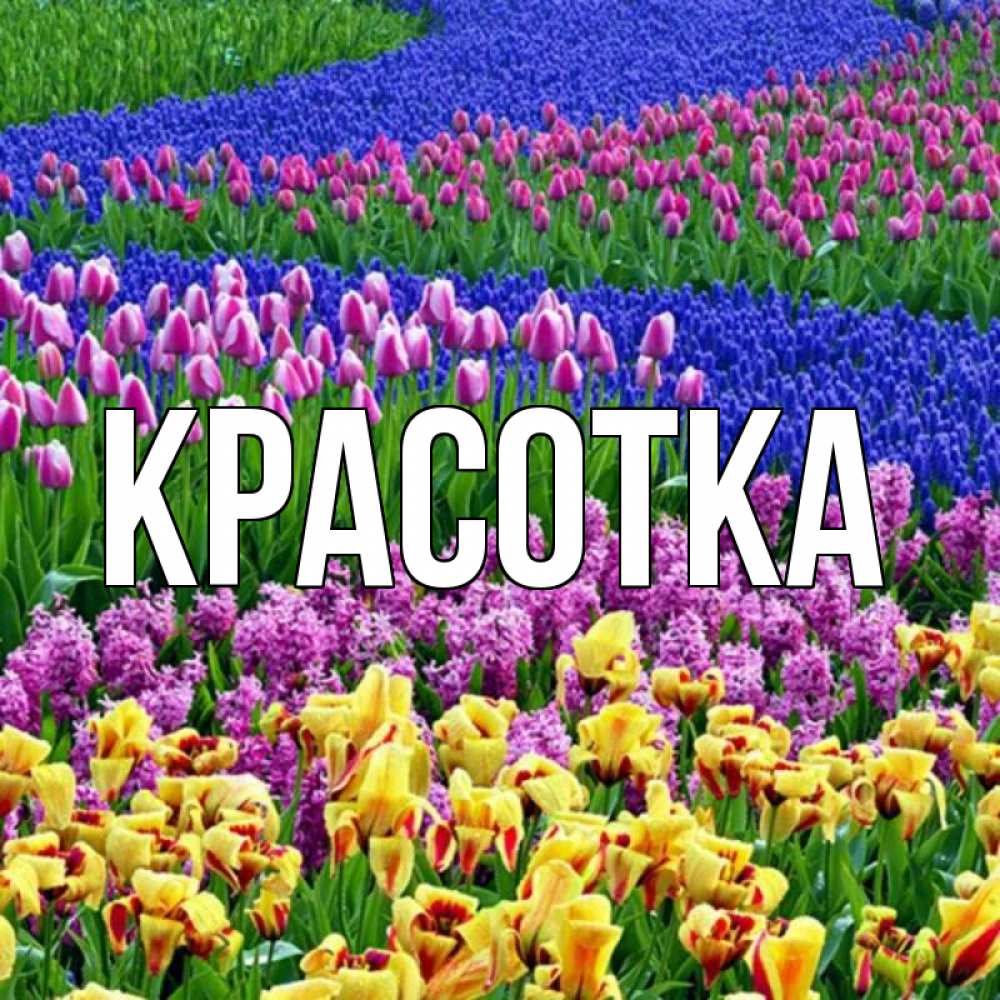 Открытка на каждый день с именем, красотка Главная цветы Прикольная открытка с пожеланием онлайн скачать бесплатно 