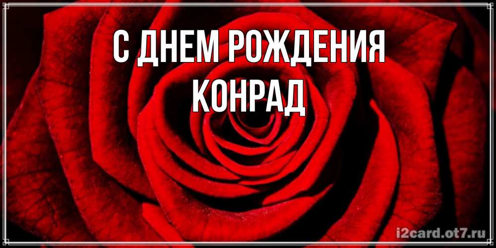 Открытка на каждый день с именем, Конрад С днем рождения алая роза Прикольная открытка с пожеланием онлайн скачать бесплатно 
