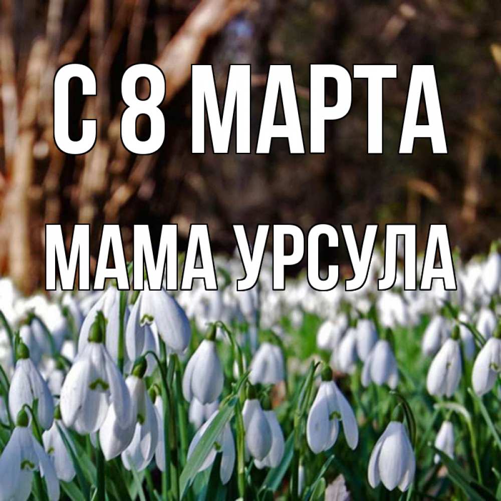 Открытка на каждый день с именем, Мама-Урсула С 8 марта с подснежниками 1 Прикольная открытка с пожеланием онлайн скачать бесплатно 