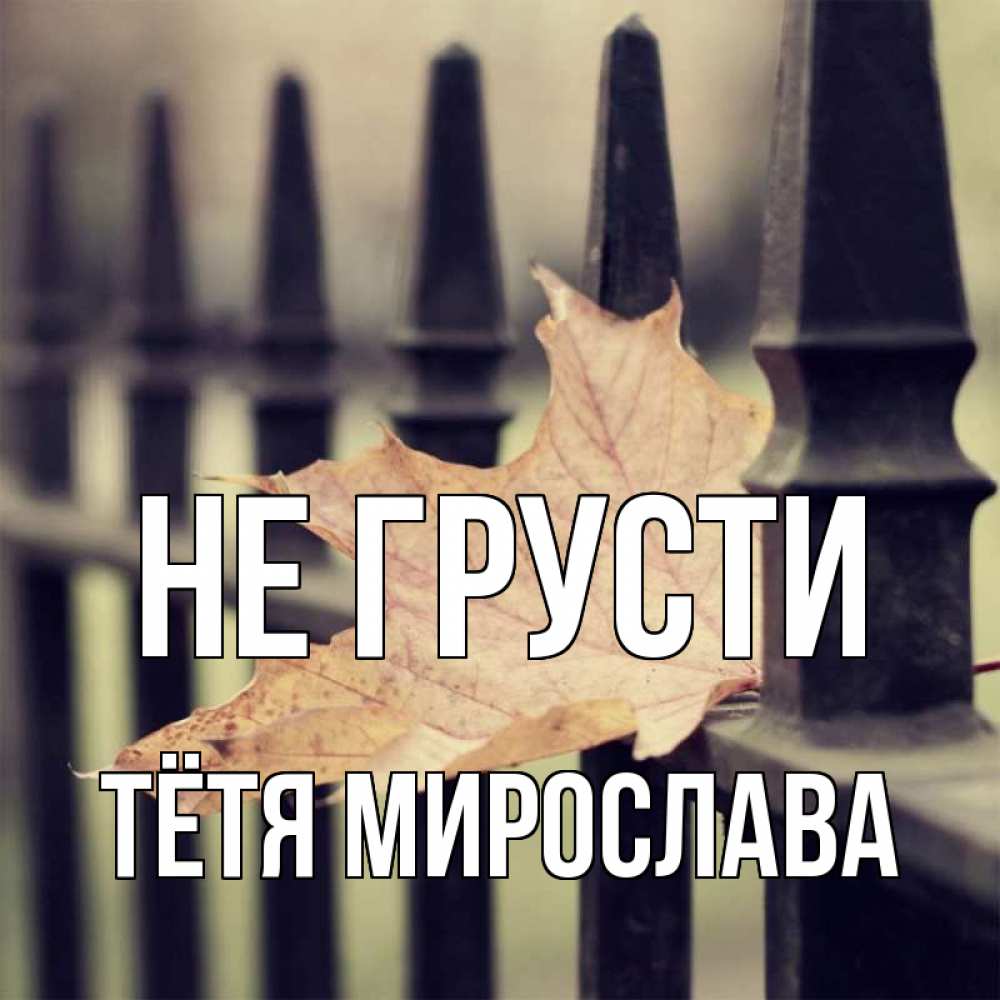 Открытка на каждый день с именем, Тётя-Мирослава Не грусти лист клена Прикольная открытка с пожеланием онлайн скачать бесплатно 