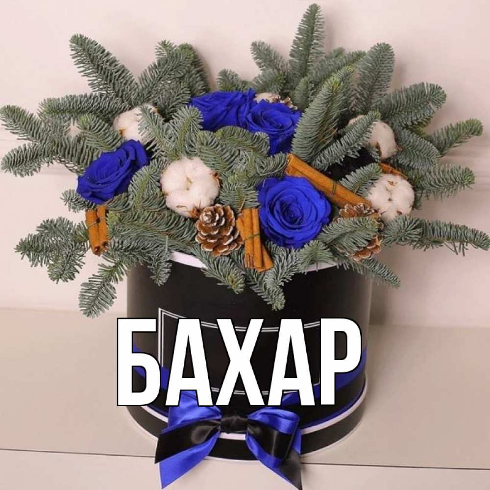 Открытка на каждый день с именем, Бахар Главная короче кто то загрузил эти шишки Прикольная открытка с пожеланием онлайн скачать бесплатно 