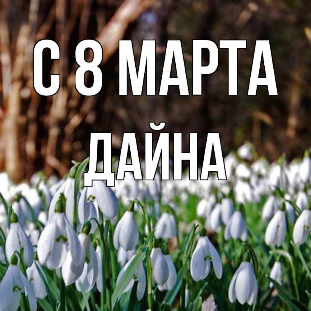 Открытка на каждый день с именем, Дайна С 8 МАРТА с подснежниками 1 Прикольная открытка с пожеланием онлайн скачать бесплатно 