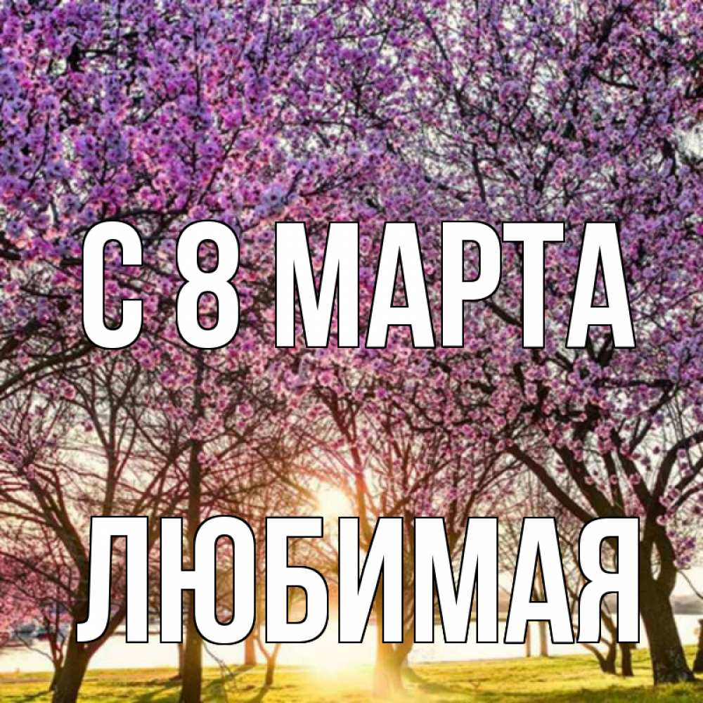 Открытка на каждый день с именем, любимая С 8 МАРТА международный женский день Прикольная открытка с пожеланием онлайн скачать бесплатно 