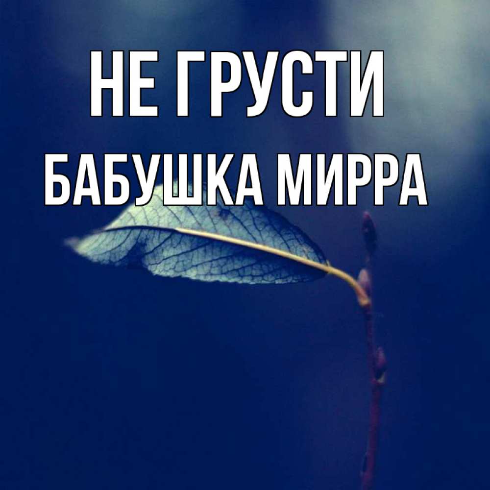 Открытка на каждый день с именем, Бабушка-Мирра Не грусти растение Прикольная открытка с пожеланием онлайн скачать бесплатно 